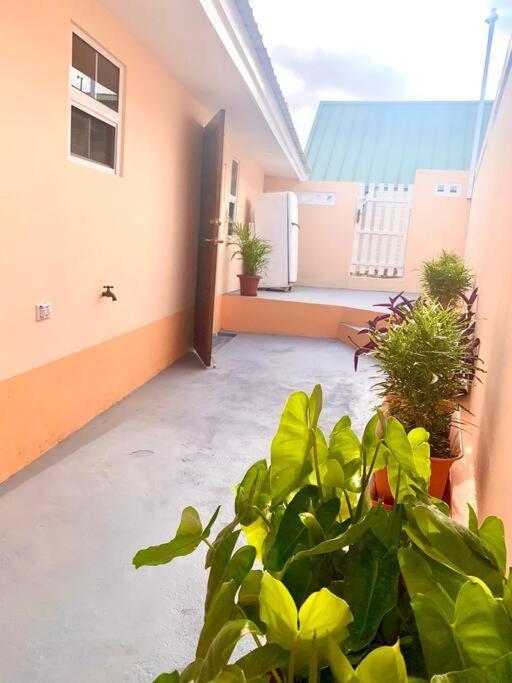 Centrally Located, Private, 1 Bedroom Apartment. ウィレムスタッド エクステリア 写真